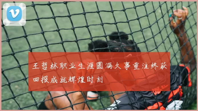 王哲林职业生涯圆满久事重注终获回报成就辉煌时刻