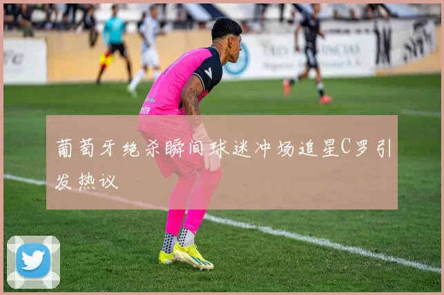 葡萄牙绝杀瞬间球迷冲场追星C罗引发热议
